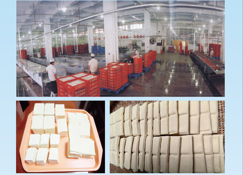 全豆豆制品加工解决方案